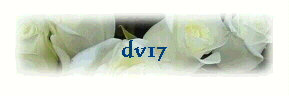  dv17 