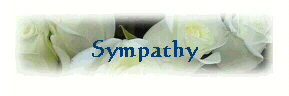  Sympathy 