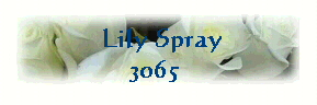  Lily Spray
3065 