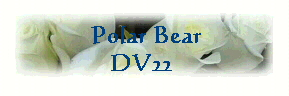  Polar Bear
DV22 