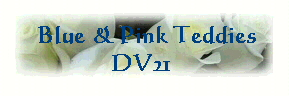  Blue & Pink Teddies
DV21 