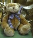 Teddy Bear - Brown - (DV20)