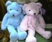 Blue & Pink Teddies (DV21)